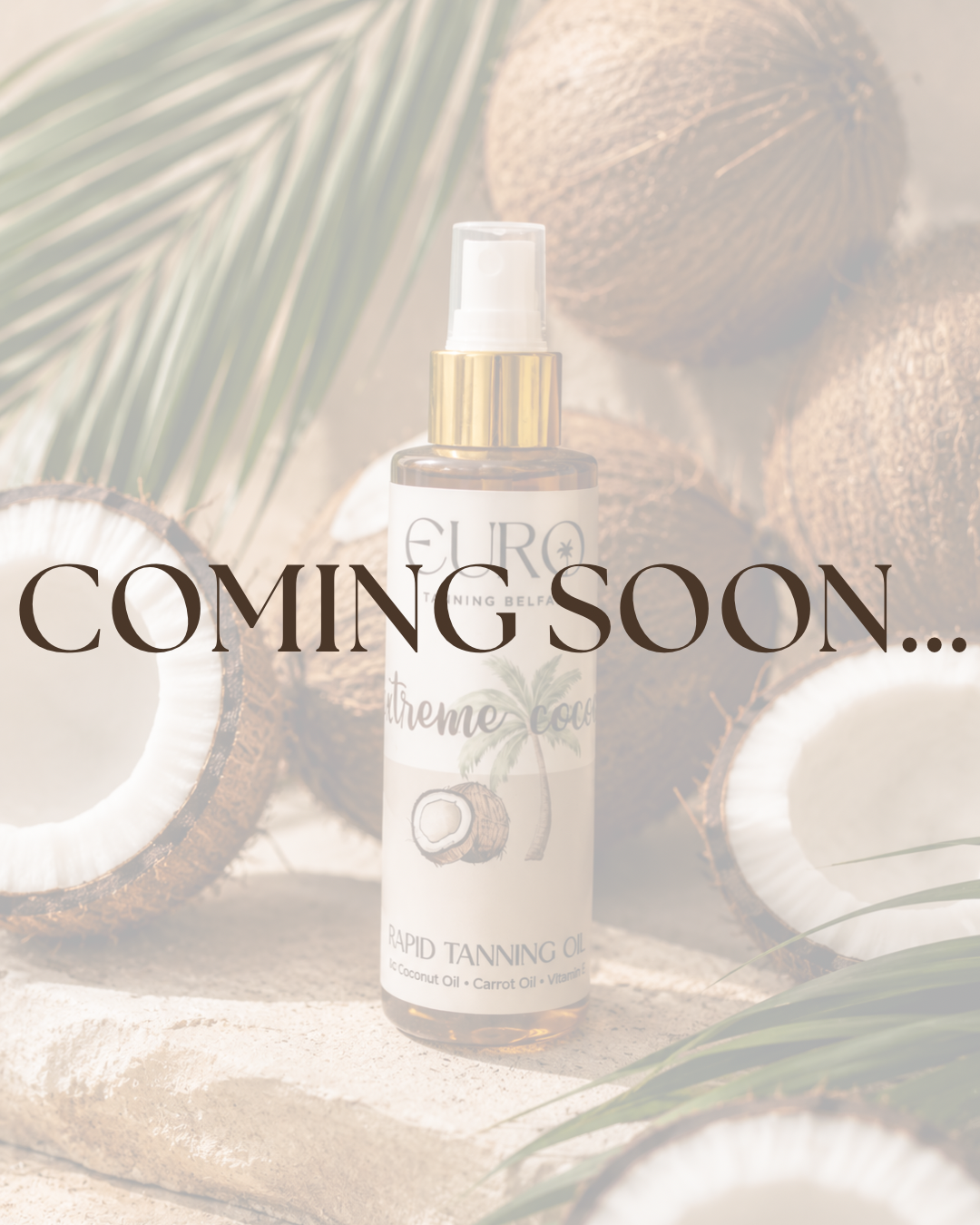 Extreme cocoa tanning oil